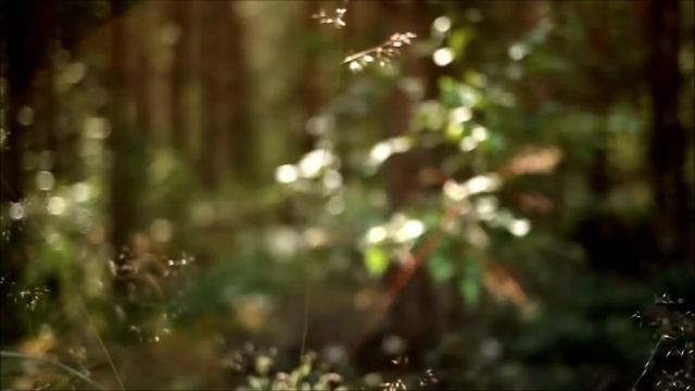 Music to All Times. September, 5 Today Birthday ( Karita Mattila ) But they also Celebrate... смотреть онлайн