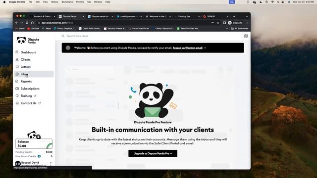Dispute Panda Onboarding Q&A - 10/25/23 - How To Fix Your Credit For Free. смотреть онлайн