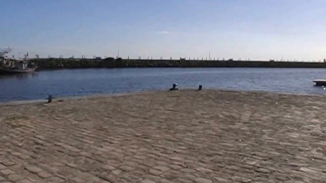 Отель Dessole Abou Sofiane 4* отдых в Тунисе смотреть онлайн