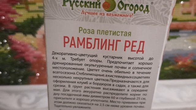 Ещё один саженец!) Роза плетистая Рамблинг Ред смотреть онлайн