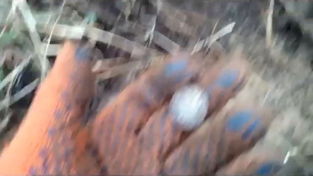 #Коп в лесу 04.03.2014 смотреть онлайн