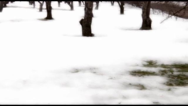 Галина Рымбу - Память смотреть онлайн