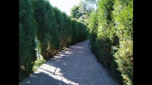 Боровск - калужский страж Москвы. Путешествие в Borovsk, одного дня. Достопримечательности Боровска