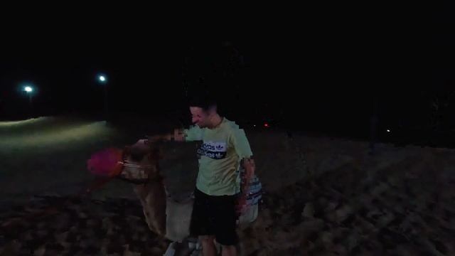 НАШЕ ПУТЕШЕСТВИЕ | ДУБАЙ | БОЛЬШОЙ ВЫПУСК смотреть онлайн