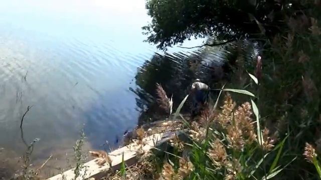 Поездка на дамбу озера Хорошее Алтайский край смотреть онлайн