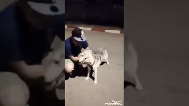 Menzel Bourguiba смотреть онлайн