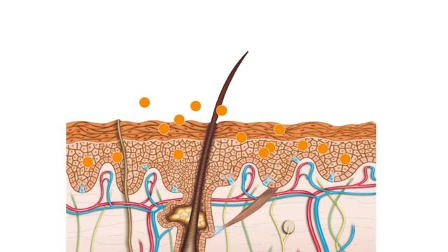 Benefits of Bio-Oil training video for health care professionals смотреть онлайн