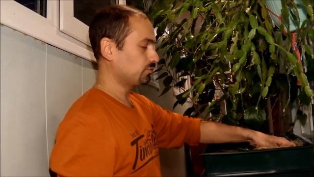 Червь старатель часть 2 смотреть онлайн