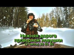 Нижняя дорога проверяем ловушки (2 часть) 26 01 20