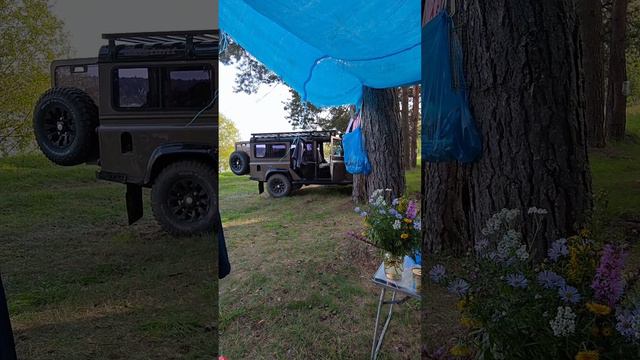на берегу Волги смотреть онлайн