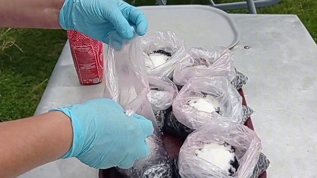 Уборка и экологичность