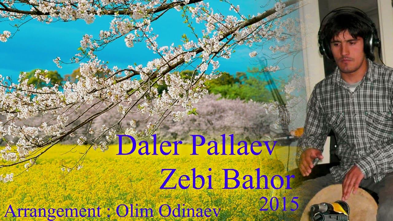 Далер Паллаев - Зеби Бахор | Daler Pallaev Zebi Bahor смотреть онлайн