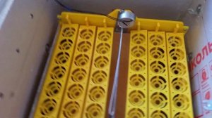 обогрев инкубатора инфракрасной пленкой установленной на дно инкубатора.