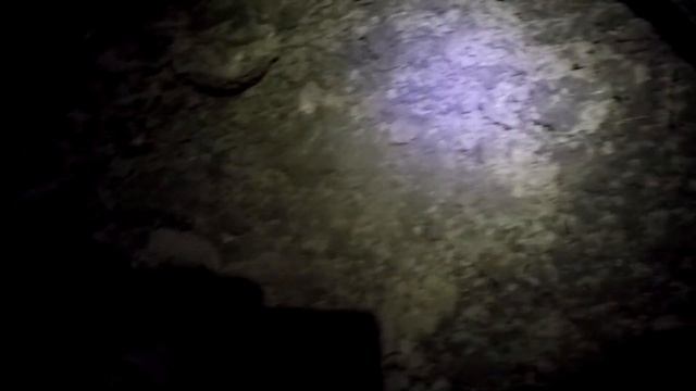 ГЛУБОКАЯ РАСПАШКА!!И ОБЛОМ С НАХОДКОЙ!!ВЕСНОЙ ВЕРНЕМСЯ!!КОПАЕМ ПОСЕЛЕНИЕ Nokta Legend и Garrett Ape смотреть онлайн
