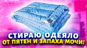 Век живи - век удивляйся! Избавиться от запаха и пятен мочи на одеяле, подушке, постельном белье.