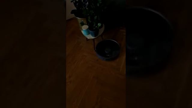 Dreame L 10 Pro Error