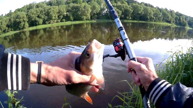 Плотва голавль ловля в проводку на пшеницу река Днепр смотреть онлайн