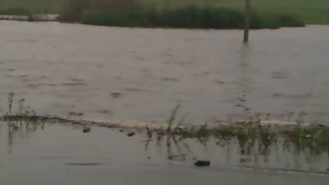 Нагайбакский район трасса париж фершампенуаз смотреть онлайн