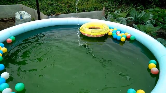 Зацвела вода в бассейне!!!Белизна в помощь! смотреть онлайн