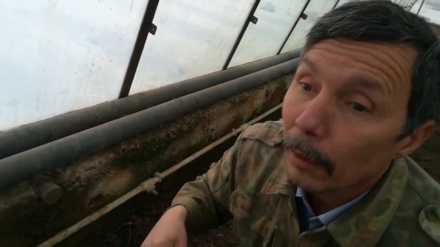 Мох угнетает ваши томаты в теплице, избавьтесь от него. смотреть онлайн
