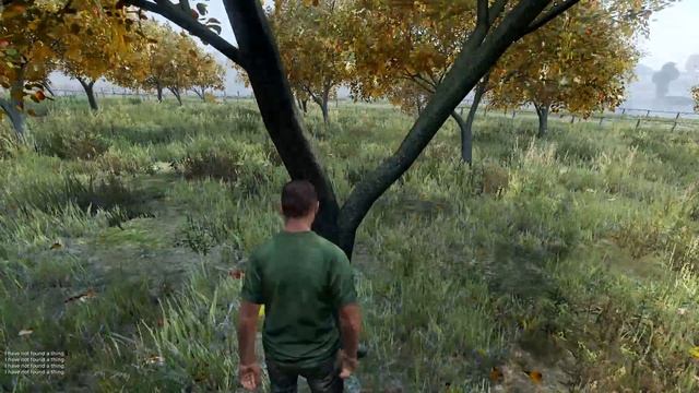 Гайд по DAYZ (Где добыть еду) №1 смотреть онлайн