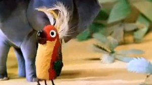 попугай, 38 попугаев