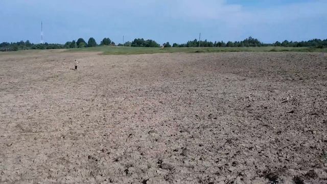 Вскрытое поле - АКА Сигнум 7272 мфт- куча находок!