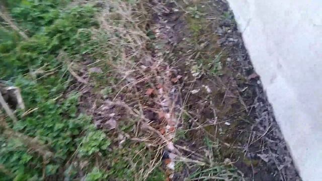 #цxps Отмостка 2 года спустя смотреть онлайн