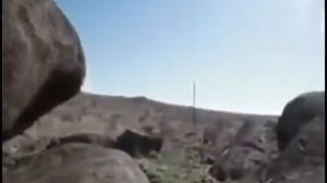 Каменные могилы Донецкая область