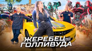 Пацанский клининг. Шоу «ЧистоТачка» | Жеребец Голливуда | Выпуск 32