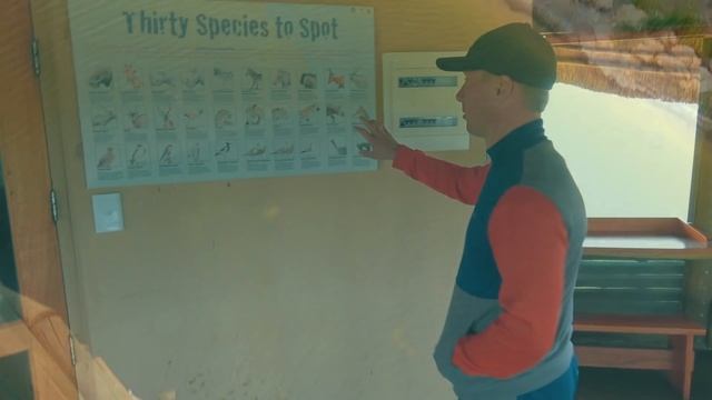 Намибия Сафари. Львы съели зебру на наших глазах! Парк Этоша. Дикая природа Африки смотреть онлайн