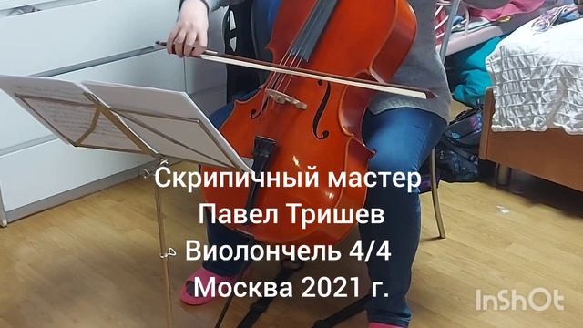 Виолончель 4/4 – скрипичный мастер Павел Тришев – Москва 2021 г. смотреть онлайн