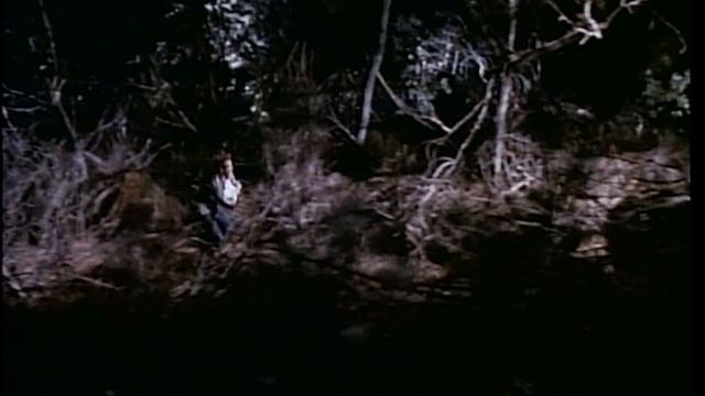 The Guardian (1990) - HD Trailer [1080p] смотреть онлайн