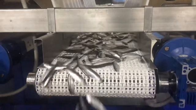 Машина для сортировки рыбы смотреть онлайн