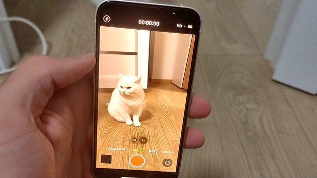 IPHONE 13 MINI АКТУАЛЕН В 2023? ОБЗОР