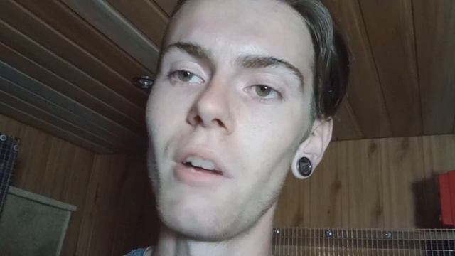 ПОЧЕМУ УМИРАЮТ ПТЕНЦЫ ВОЛНИСТОГО ПОПУГАЯ ? - РАЗВЕДЕНИЕ ВОЛНИСТЫХ ПОПУГАЕВ смотреть онлайн