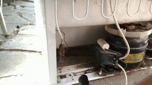 Ремонт холодильника NORD DX244 010 Включается, морозиловка работает но не холодит в холодильнике