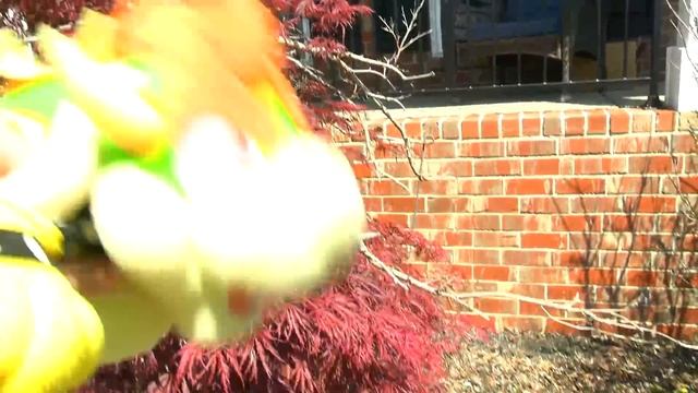 Crazy Mario Bros: Luigi's PRIME! смотреть онлайн