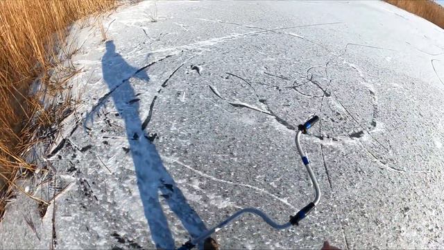 ЖЕРЛИЦЫ В ЛЕСУ ЩУКИ НЕ ДАЮТ ПРИСЕСТЬ смотреть онлайн