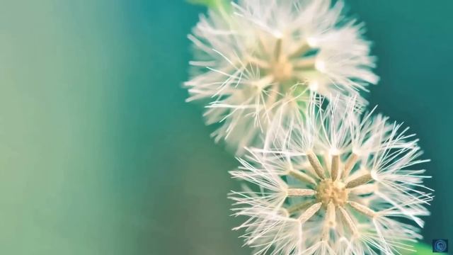Mantra Music Miracle Chant 108x By Dr. Pillai смотреть онлайн