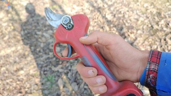 ?Обзор на электрический секатор:как пользоваться, строение, режимы, обслуживание ✂️