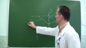 Топография области сосцевидного отростка и треугольника Шипо