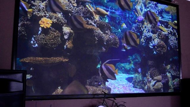 проекционный экран DSC 0261