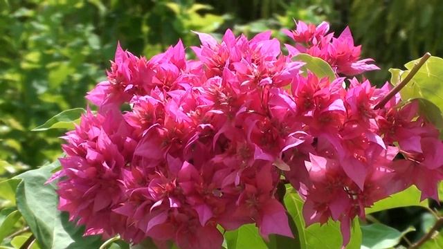 FILMED WITH SONY HDR- XR150E HD QUALITY SAMPLE 2.m2ts смотреть онлайн