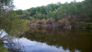 Футаж. Река. Footage. River