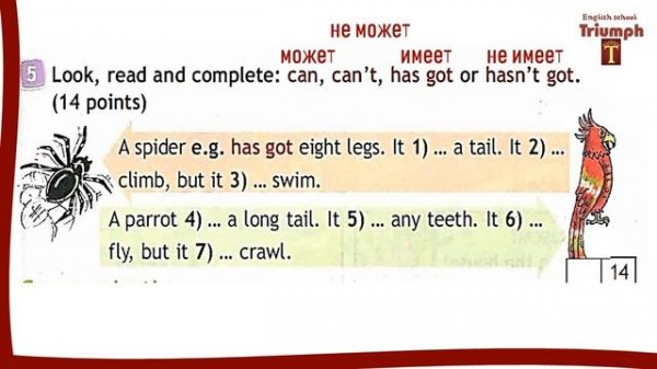 Spotlight 3. Module 5.  p. 86-87. Now I know 5.  ГДЗ.  Ответы и объяснение. Спотлайт  3 класс