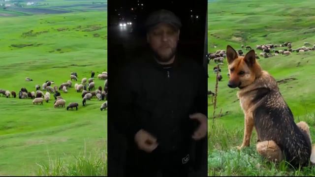ТОП 3 смешных анекдотов.Как пёрднуть без шума))) смотреть онлайн