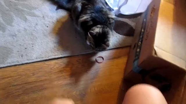 Silver: Fetching into the Boxes 8-19-2017 смотреть онлайн