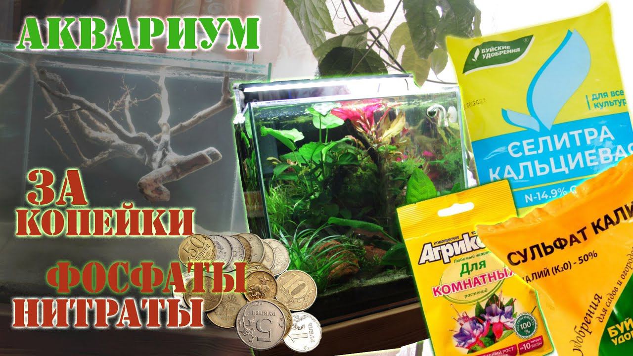 Исправляем фосфат нитрат в аквариуме, фосфат нитрат калий из садового магазина смотреть онлайн