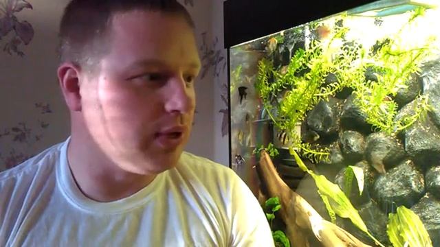 Лечение Гексамитоза препаратом SERA BAKTOPUR DIRECT смотреть онлайн